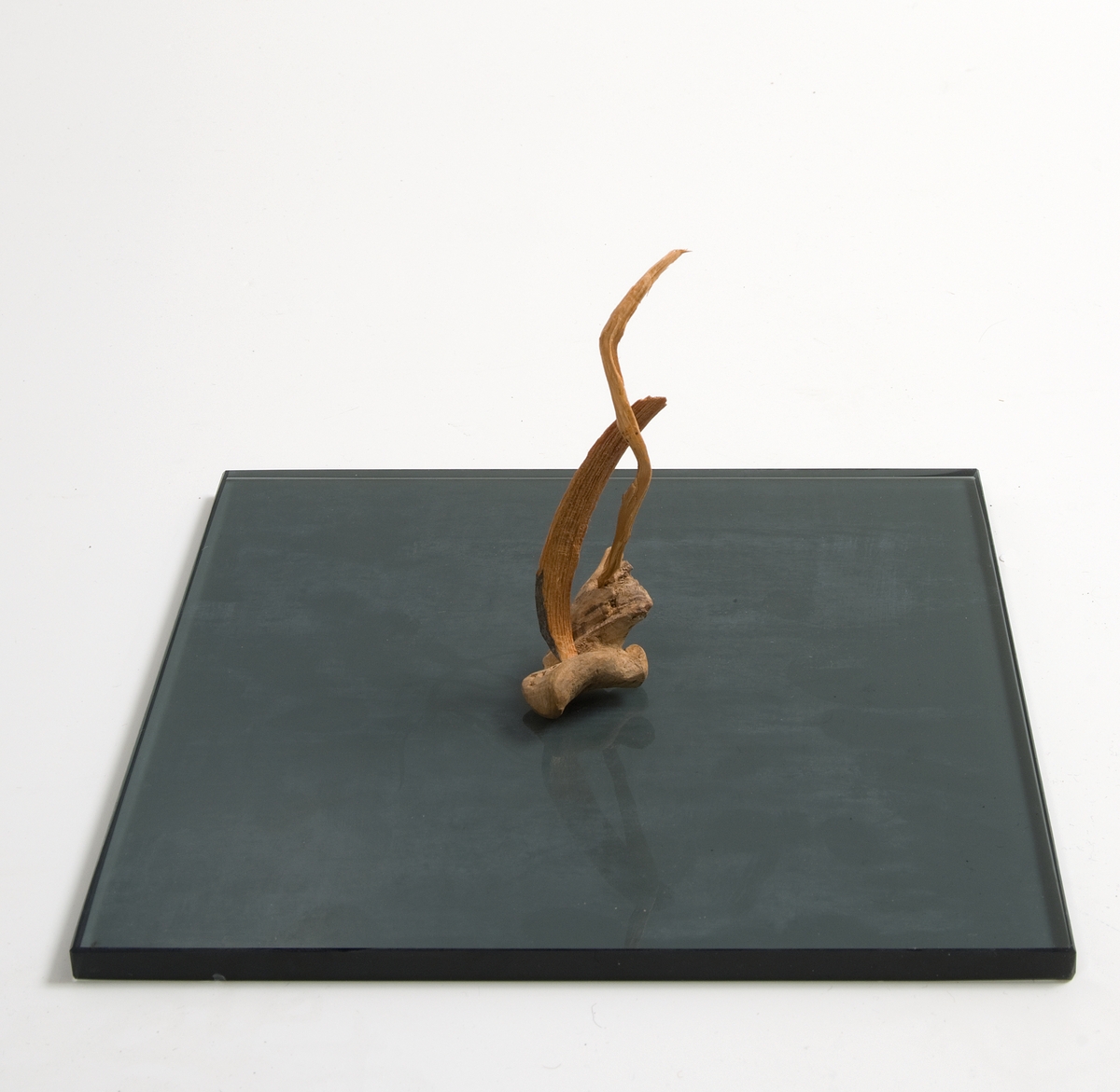 Morken [Skulptur]