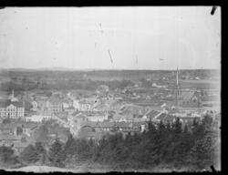 Utsikt over bebyggelsen i Sandefjord. Trær i forgrunnen.
