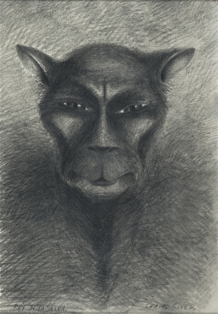 Rey de la selva Chiapas [Tegning]