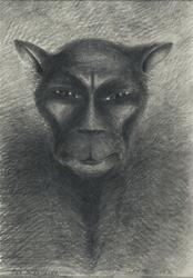 Rey de la selva Chiapas [Tegning]