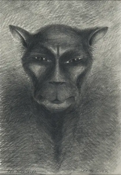 Rey de la selva Chiapas [Tegning]