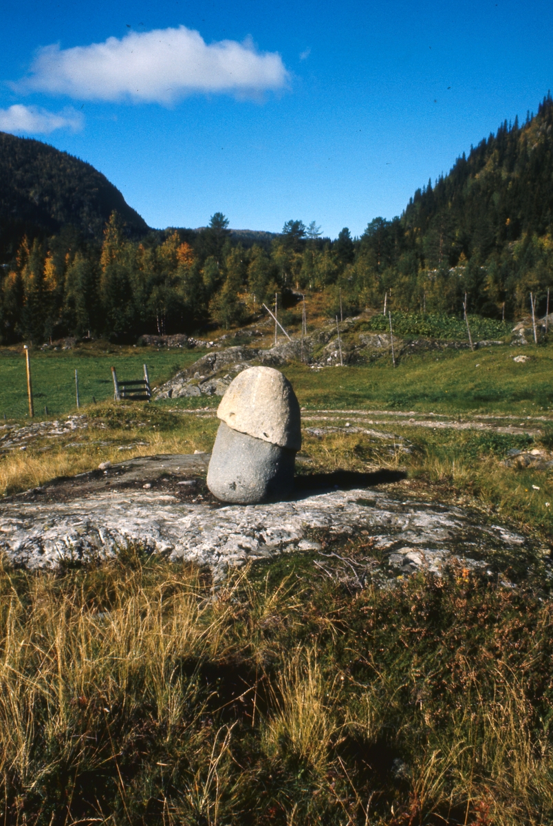 Heddal 1978. Frukbarhetsstein