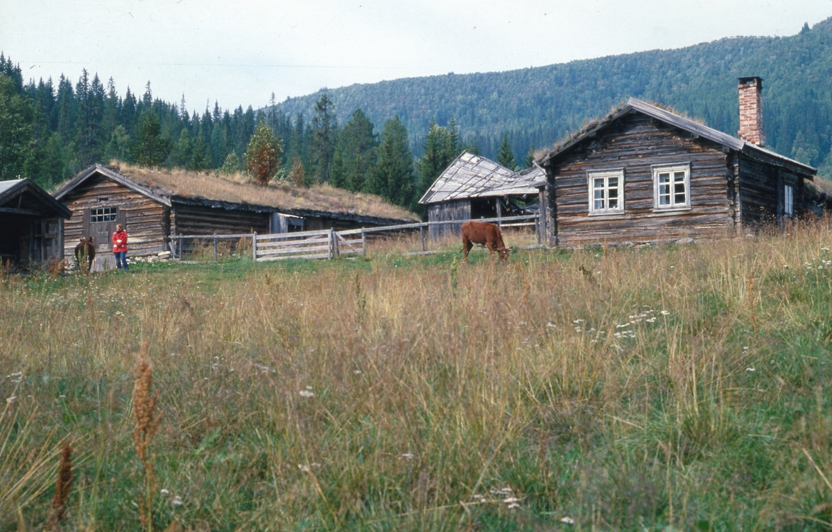 Seter Gammeldalen