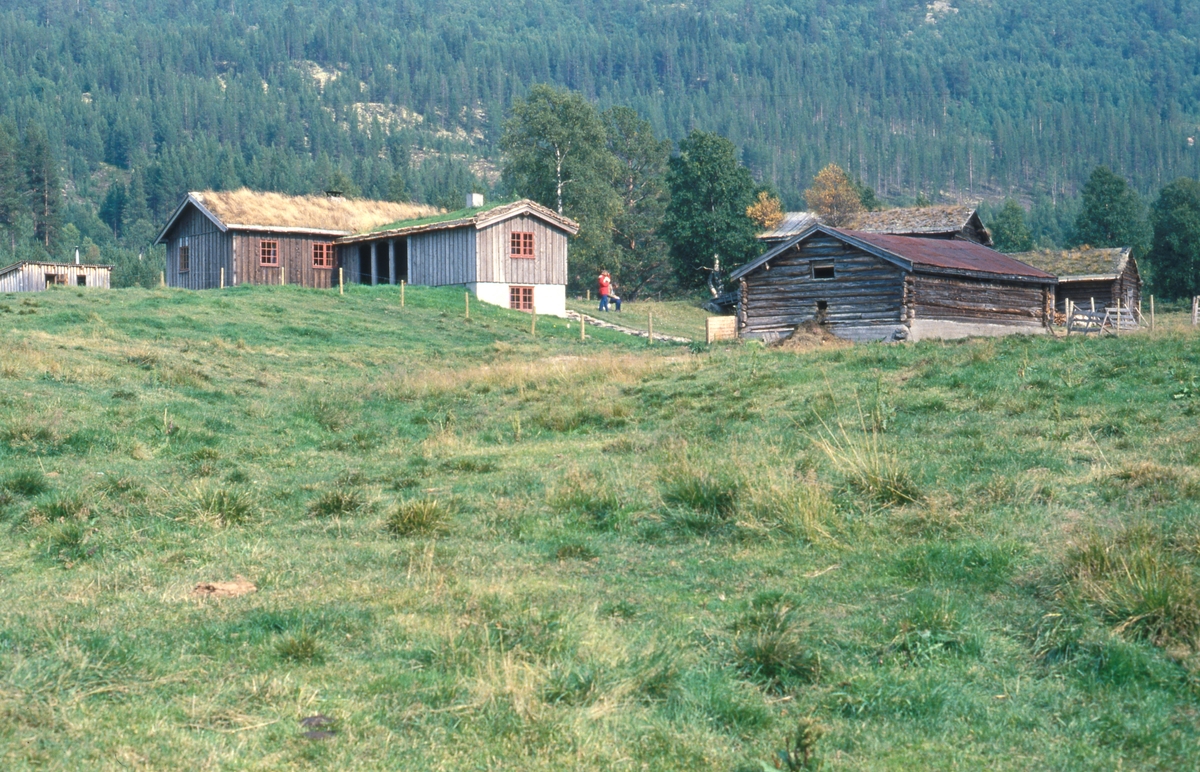 Seter Gammeldalen.