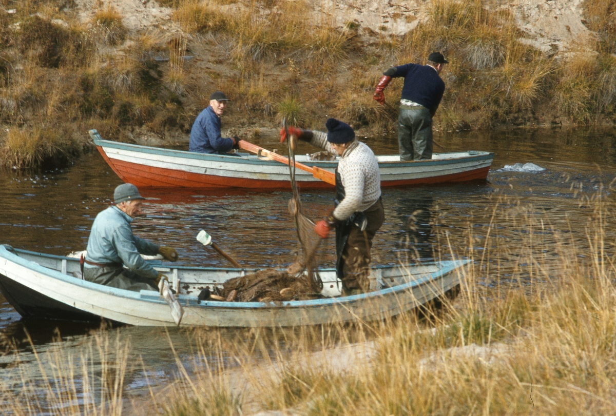 Fiske i Tufsinga. 1978.