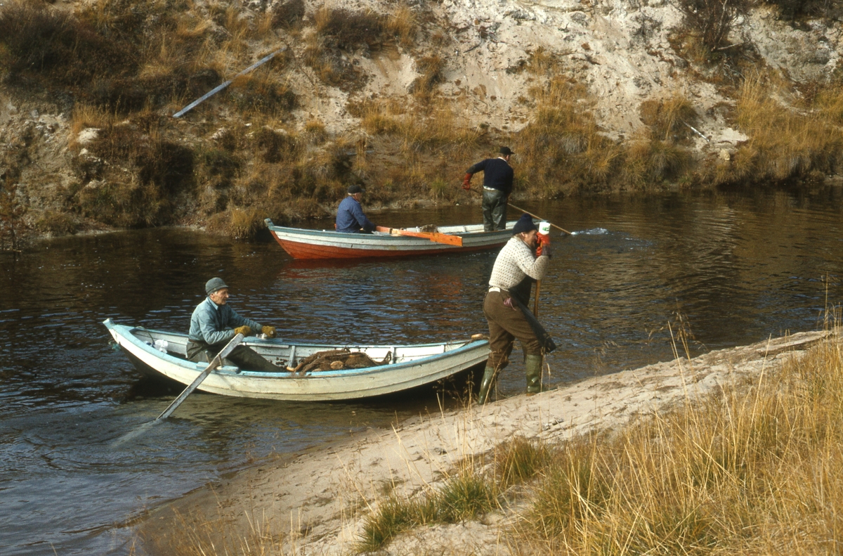 Fiske i Tufsinga. 1978.