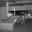 Kexfabriken. Örebro Kexfabrik. 
23 juli 1959.