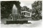 Västerås, Stadsparken. 
Vy över Stadsparken.