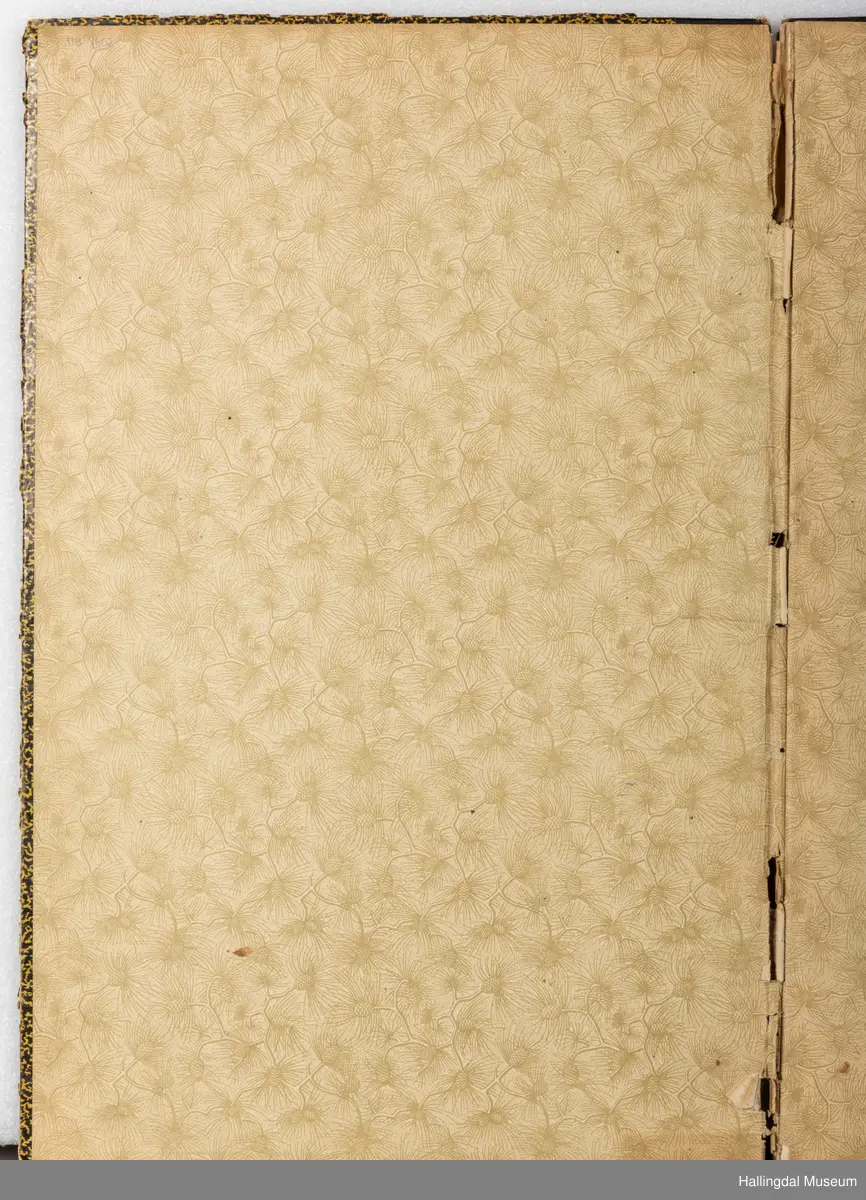 Skrivebok eller tegnebok, tilhørt Gunnar Gunnarson (1906 - 1953), kunstsmed som holdt til i Hol kommune. Boka er innbundet i bokpapp med sort og gult-mønstrete cover med sort rygg. Innbindingen er løs og går i oppløsning i ryggen. Innsiden av coveret har hvitt og gult papir med konglemønster og barnåler. Opprinnelig blanke, hvite sider i tykt ark, nærmest akvarellpapir, skrevet og tegnet med blekk.
Trolig skolebok/notatbok fra da Gunnar Gunnarson gikk på Norsk Kunsthandverksskule på Voss. Inneholder håndskrevne tekster og notater i tillegg til detaljerte illustrasjoner om ornamentlære, fargelære og prydkunstlære i norsk folkekunst, i tillegg til mer. 46 sider er brukt.