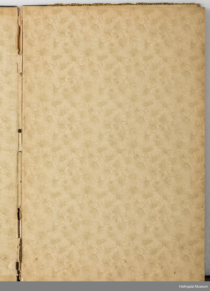 Skrivebok eller tegnebok, tilhørt Gunnar Gunnarson (1906 - 1953), kunstsmed som holdt til i Hol kommune. Boka er innbundet i bokpapp med sort og gult-mønstrete cover med sort rygg. Innbindingen er løs og går i oppløsning i ryggen. Innsiden av coveret har hvitt og gult papir med konglemønster og barnåler. Opprinnelig blanke, hvite sider i tykt ark, nærmest akvarellpapir, skrevet og tegnet med blekk.
Trolig skolebok/notatbok fra da Gunnar Gunnarson gikk på Norsk Kunsthandverksskule på Voss. Inneholder håndskrevne tekster og notater i tillegg til detaljerte illustrasjoner om ornamentlære, fargelære og prydkunstlære i norsk folkekunst, i tillegg til mer. 46 sider er brukt.