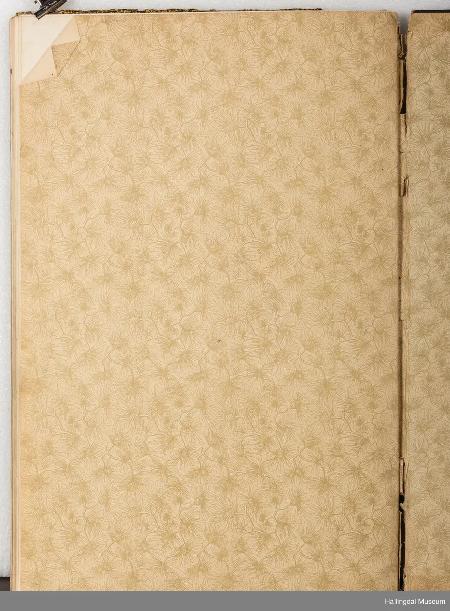 Skrivebok eller tegnebok, tilhørt Gunnar Gunnarson (1906 - 1953), kunstsmed som holdt til i Hol kommune. Boka er innbundet i bokpapp med sort og gult-mønstrete cover med sort rygg. Innbindingen er løs og går i oppløsning i ryggen. Innsiden av coveret har hvitt og gult papir med konglemønster og barnåler. Opprinnelig blanke, hvite sider i tykt ark, nærmest akvarellpapir, skrevet og tegnet med blekk.
Trolig skolebok/notatbok fra da Gunnar Gunnarson gikk på Norsk Kunsthandverksskule på Voss. Inneholder håndskrevne tekster og notater i tillegg til detaljerte illustrasjoner om ornamentlære, fargelære og prydkunstlære i norsk folkekunst, i tillegg til mer. 46 sider er brukt.
