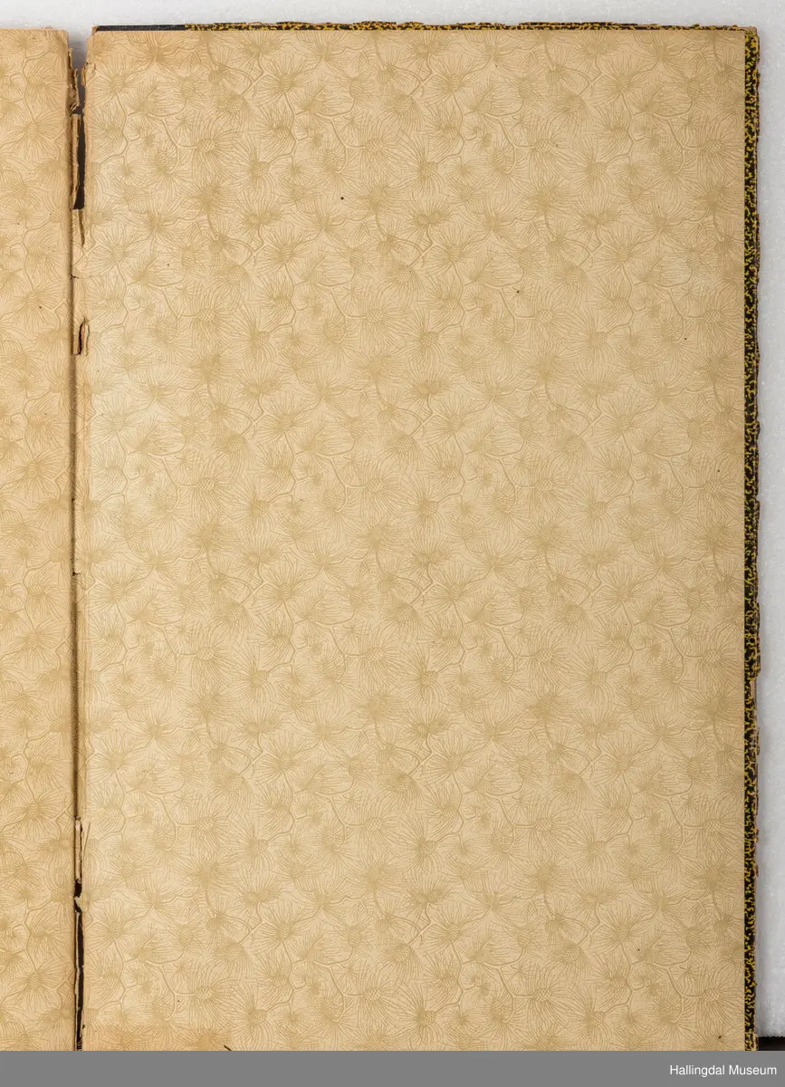 Skrivebok eller tegnebok, tilhørt Gunnar Gunnarson (1906 - 1953), kunstsmed som holdt til i Hol kommune. Boka er innbundet i bokpapp med sort og gult-mønstrete cover med sort rygg. Innbindingen er løs og går i oppløsning i ryggen. Innsiden av coveret har hvitt og gult papir med konglemønster og barnåler. Opprinnelig blanke, hvite sider i tykt ark, nærmest akvarellpapir, skrevet og tegnet med blekk.
Trolig skolebok/notatbok fra da Gunnar Gunnarson gikk på Norsk Kunsthandverksskule på Voss. Inneholder håndskrevne tekster og notater i tillegg til detaljerte illustrasjoner om ornamentlære, fargelære og prydkunstlære i norsk folkekunst, i tillegg til mer. 46 sider er brukt.
