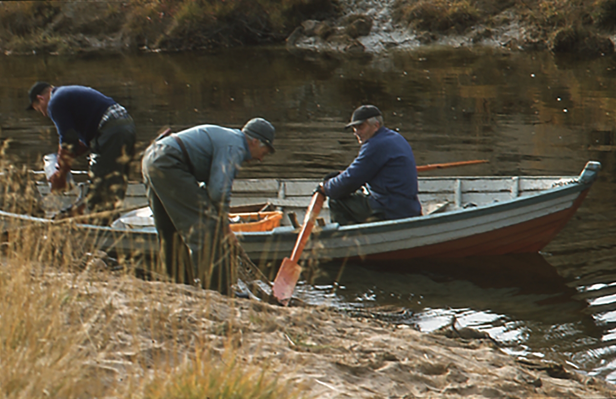 Fiske i Tufsinga 1978