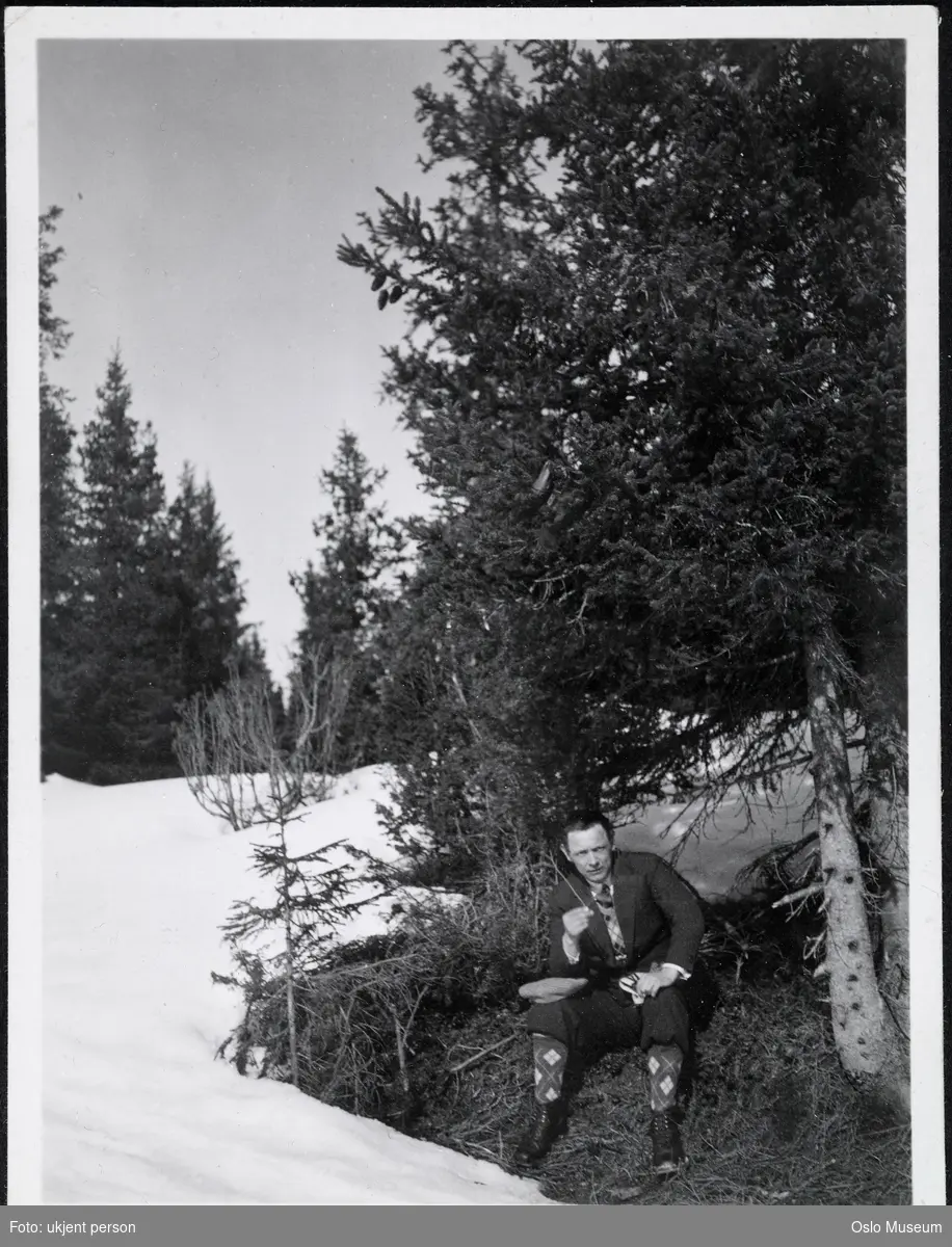 skog, snø, bar flekk, mann, tur