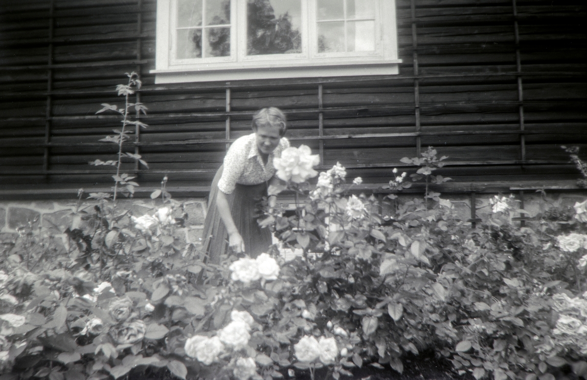 Andrea Margrethe Glærum, født Gjestvang (1914-1993) I hagen til Palmstrøm på Lysaker  Sommer 1956.