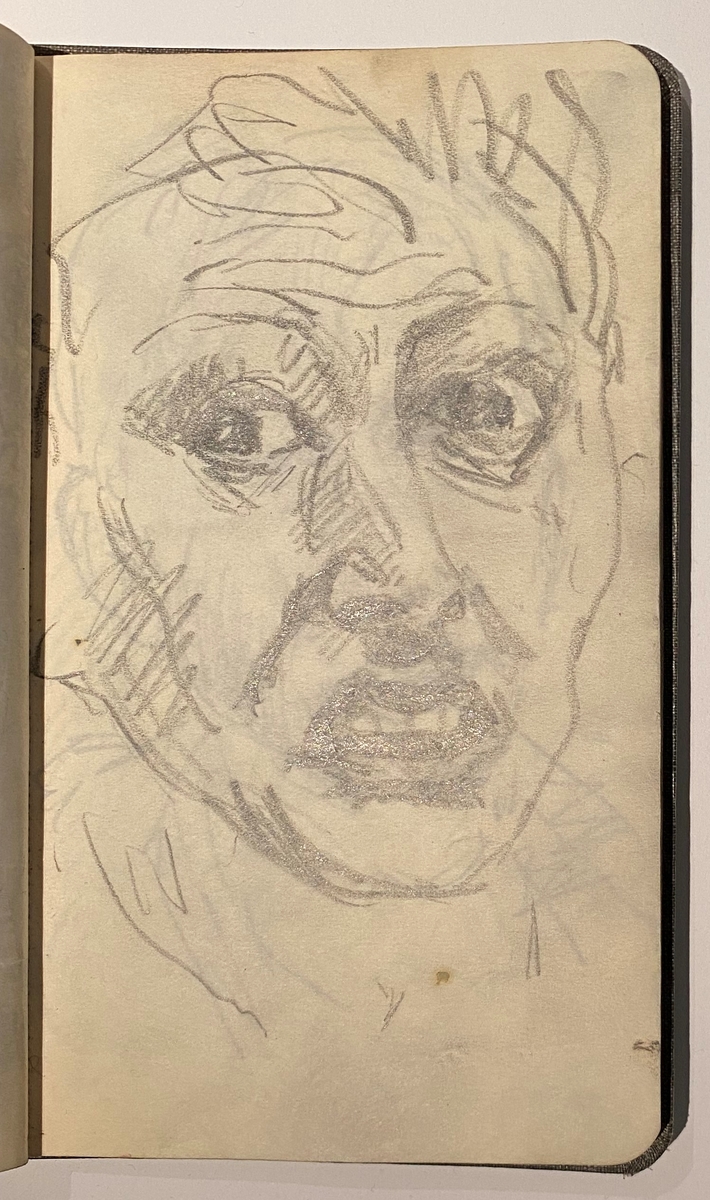 Brun skissebok [Tegning]