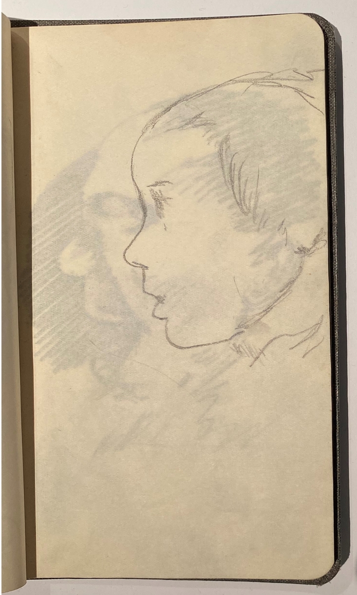 Brun skissebok [Tegning]
