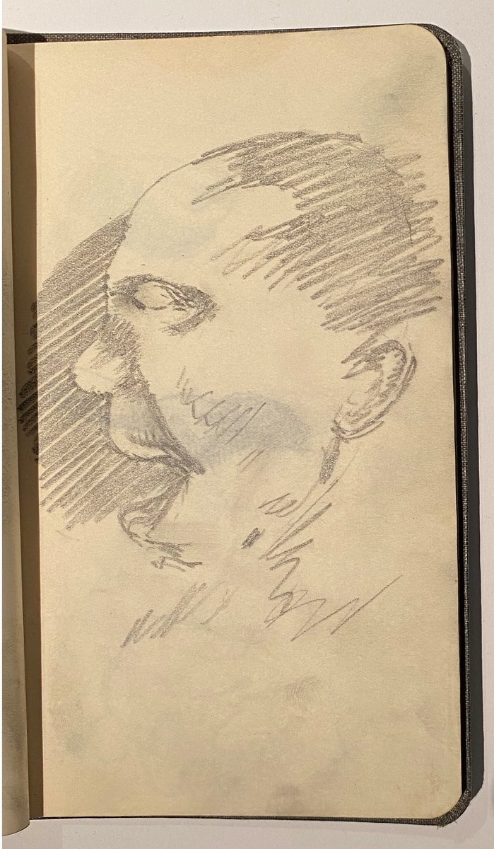 Brun skissebok [Tegning]