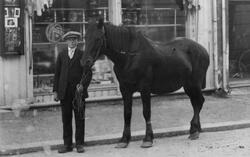 Olaf Brenne fra Varteig på vei til slakteren Arnt Bergby med