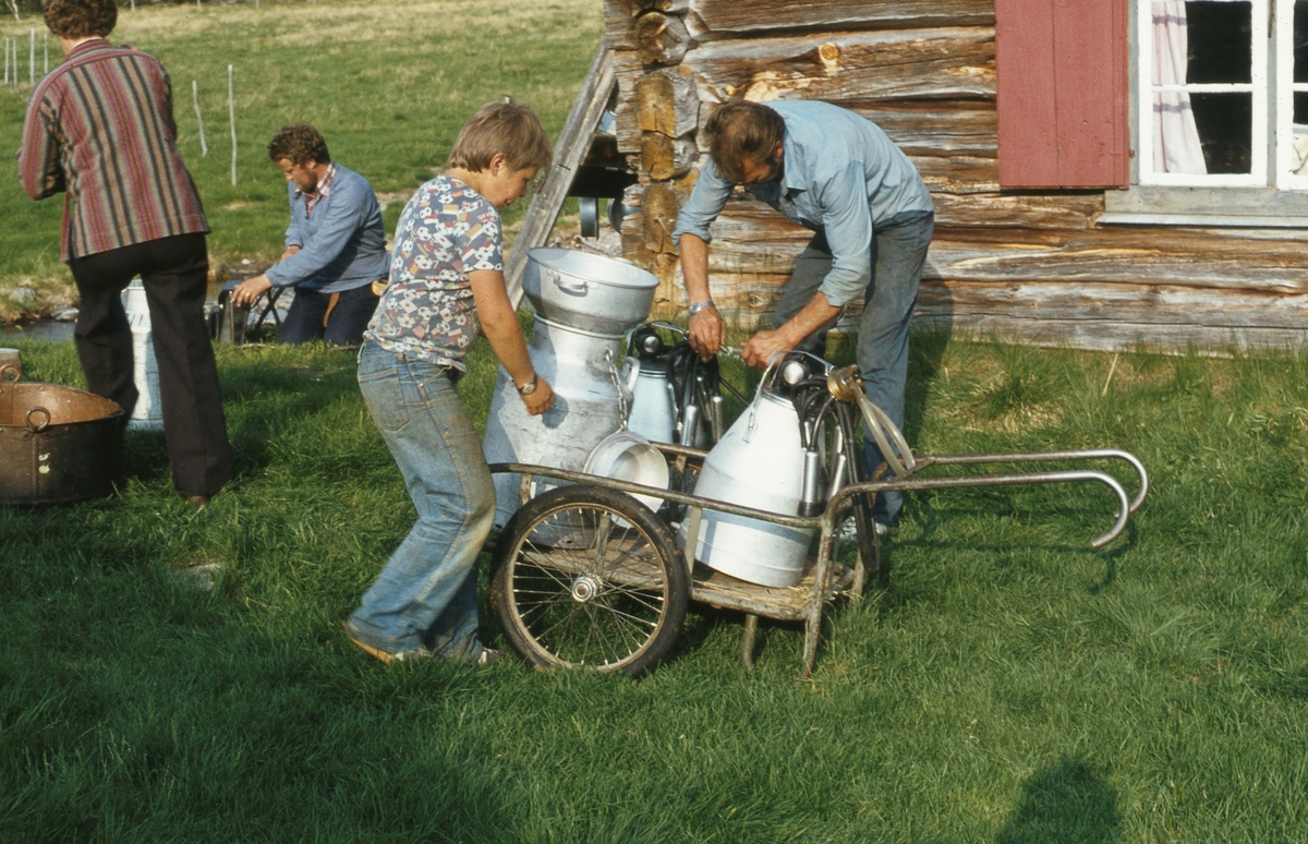 Sæterflytting Telebon/Klettdalen. 1979.