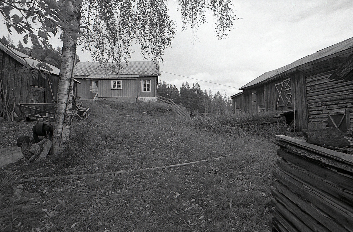Tre bilder frå Hestehagen 1988. Bilder av gardstunet