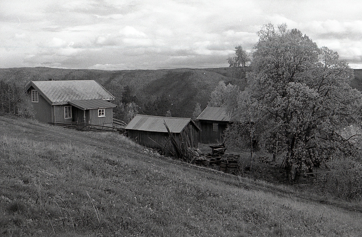 Tre bilder frå Hestehagen 1988. Bilder av gardstunet