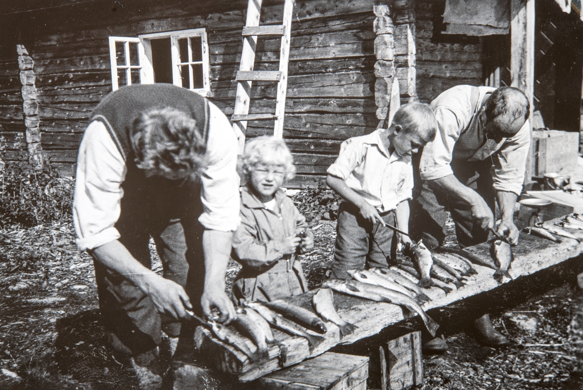 Rensing av fisk etter en fisketur ved Druktjernshaugen. Tv. Ola Storbæk og Magnar Storbæk. 2 Ukjente. 1936.