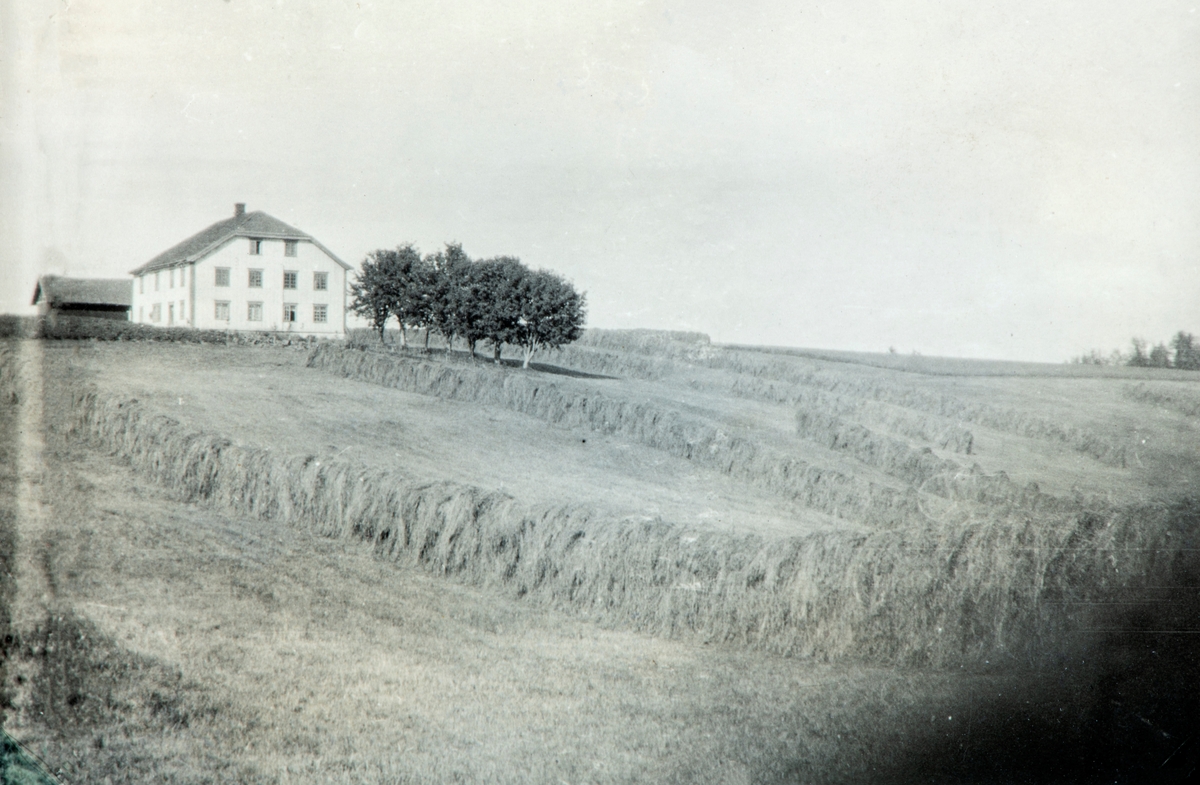 Hovedbygningen på Grylling 1930, den brant ned i 1932. Høydeskrekk på jordene.