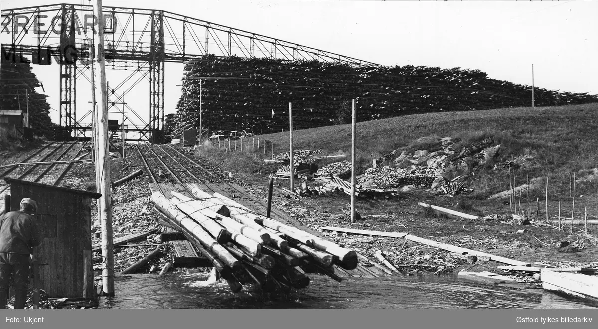 Borregaard fabrikker, opptrekking av tømmer på Opsund i Sarpsborg 1927.