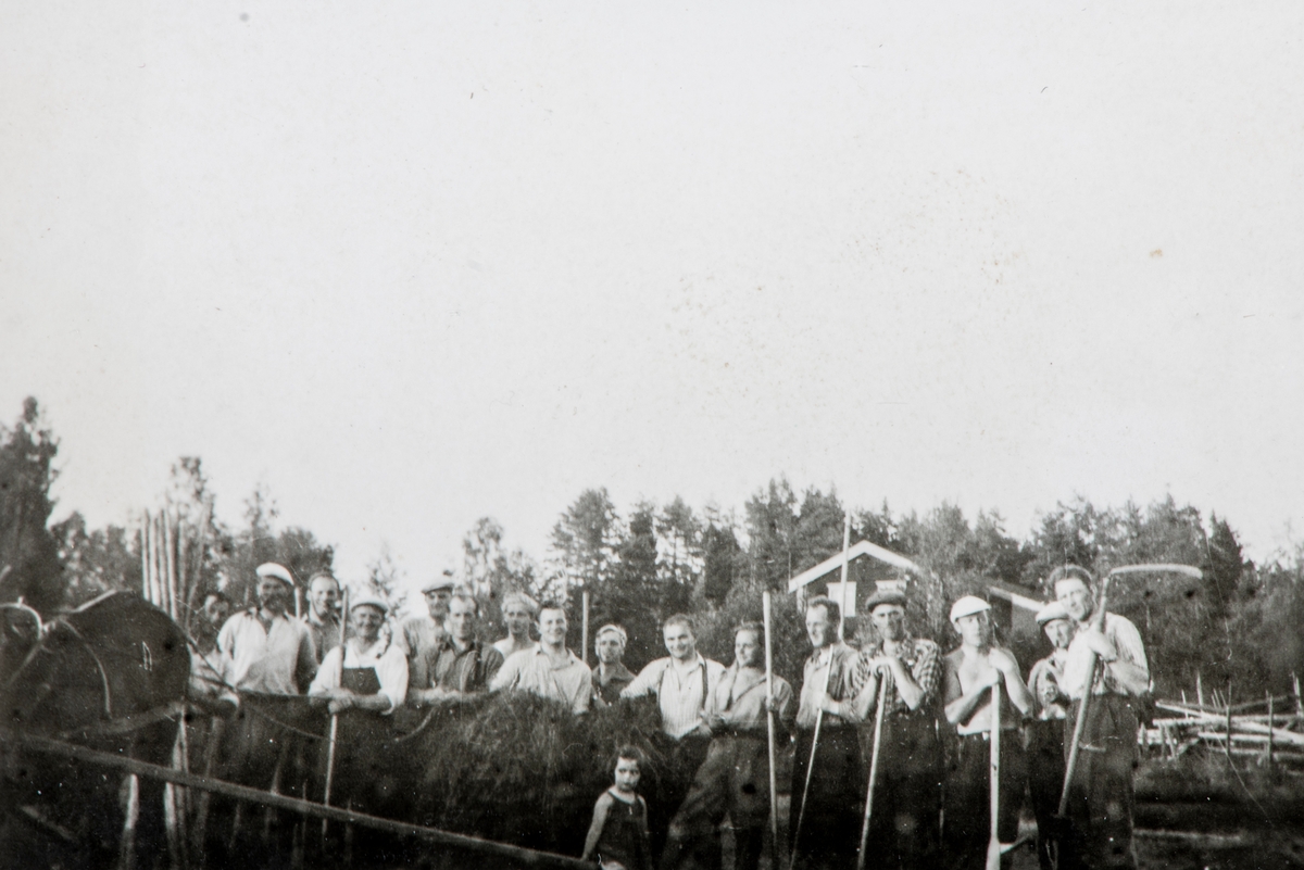 Slåttonn, ukjente arbeidsfolk, ukjent sted. Ca 1940?