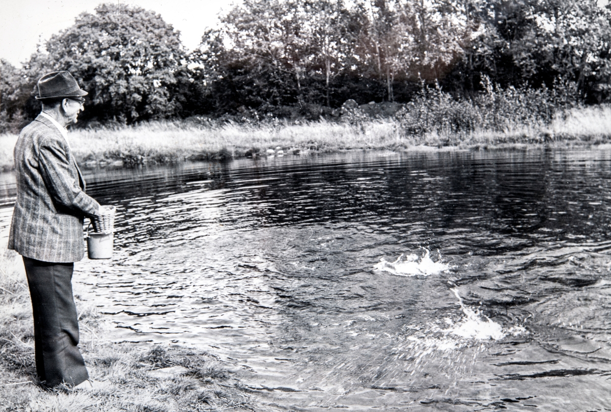 Ola Storbæk og Per Ola Storbæk. Fotografert ved fiskedammen / vatningsdam på Grylling, Løten, ca 1974. 