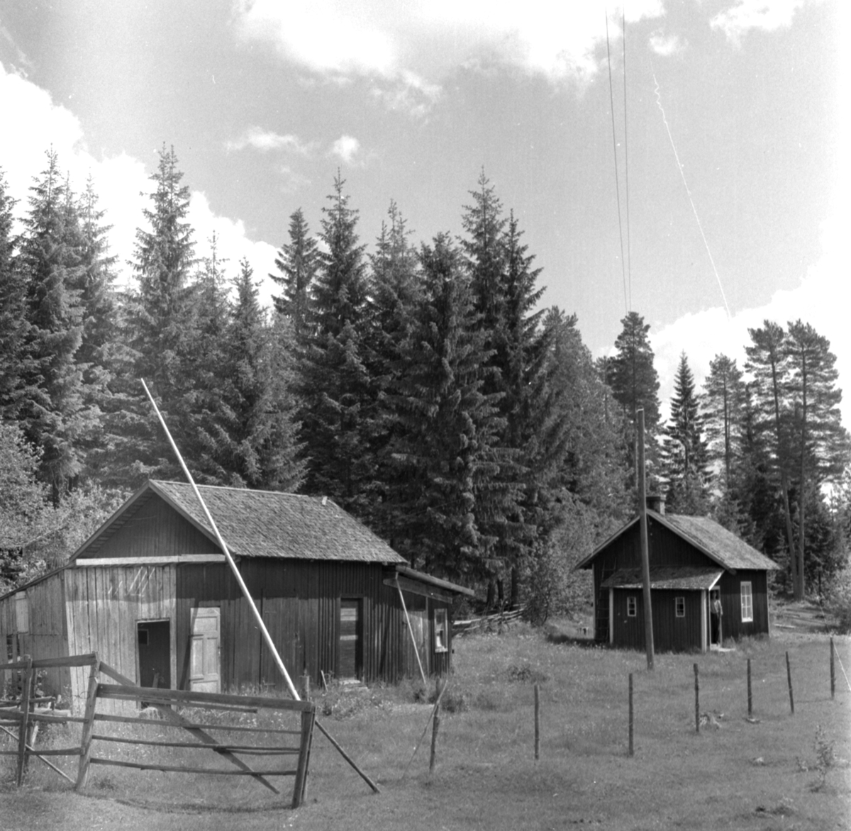 Hus, skog.
Skrevet påkonvolutt: Forskjellige bilder fra Finskogene.