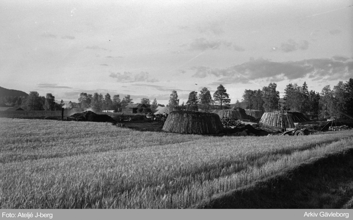 Kolmilor i Vallsta, 1961.