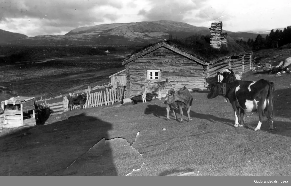 Andgard-stakstoe med den gamle seterstugu. Den vart kjøpt av Tore Segelcke i 1949, og flytta til stedet Bjørnsgård ved Bogstadvatnet i Nordmarka.