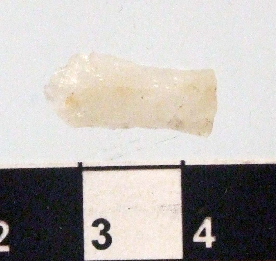 Mikrospån. Fragmenterat. Proximal del återstår.