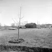 Från Mjölby hembygdsgård 1938. I stunden återuppförs Åsens loftbod. Boden stod ursprungligen vid hemmanet Åsen i Västra Harg och uppges där varit rest år 1779.