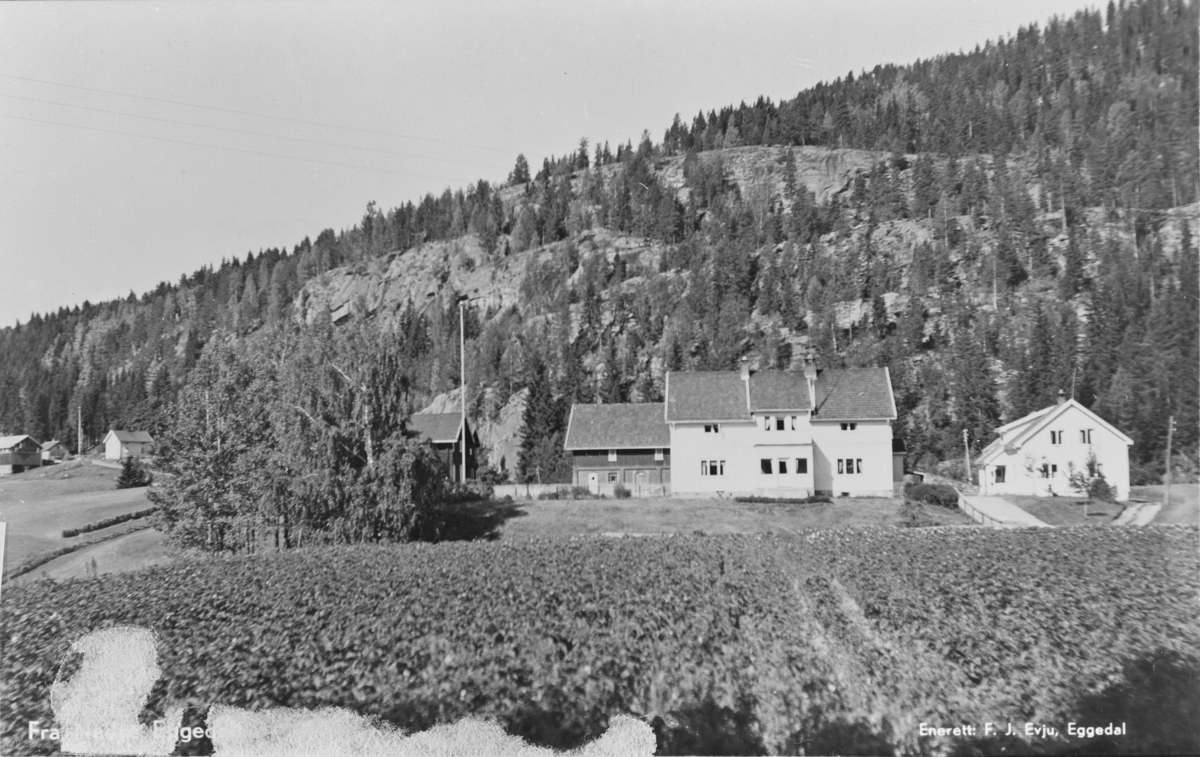 Bergerudgårdene i Engerroa, Nedre Eggedal. Uten år.