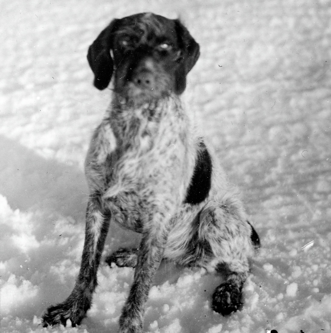 Hardangervidda før påsken 1933