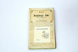 Kart over Bratsberg Amt N. 1856