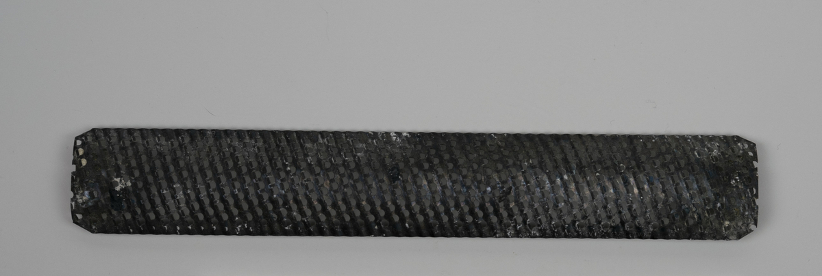 Rasp brukt av Nils Aas til modellering. Det er rester etter gips på raspa.