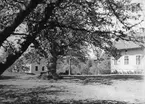 En skymt av bebyggelsen vid Ombergs skogsskola i Höje omkring år 1900. Utbildningen startade 1859 för att utbilda skogvaktare för statens räkning och fick inte minst stor betydelse för naturen på Omberg. För att vidga elevernas kunskaper har en rad exotiska trädslag planterats som ännu bidrar till platsens miljö. Skogsskolan upphörde 1935 men anläggningen fick ny funktion som lantmannaskola.