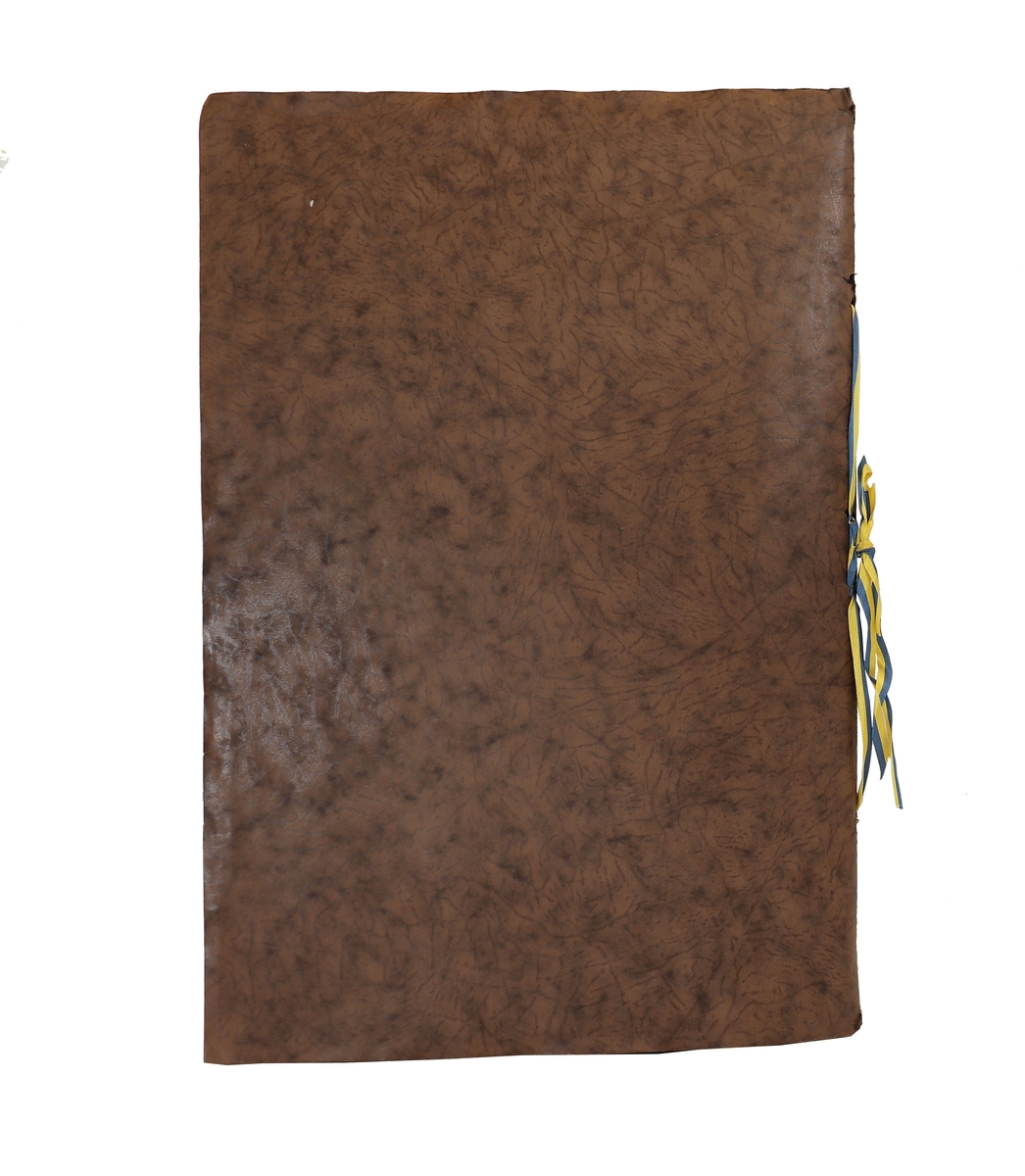 Minne av Gävlepostisars liv och leverne, spridda år 1894 till 1934.