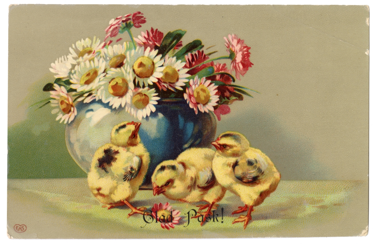 Tre små kycklingar tittar på en blombukett. De tre kycklingarna är ljust gula med mörkare fält på ryggen och hjässan. De har ytterst små vingar, men även dessa skiftar mot mörkt. Benen är orangefärgade liksom näbbarna och de har sin äggtand kvar. Blombuketten står i en låg, rundad vas i blåa färger med skiftningar i ljust och mörkt. Blommorna påminner om prästkragar med vita kronblad, men några skiftar i rosa toner till mörkt gammelrosa. Några enstaka gröna blad syns mellan blommorna. En blomma har fallit ned och en av kycklingarna tittar närmare på den. Omgivningen är ljust gråtonad med skuggningar efter buketten.