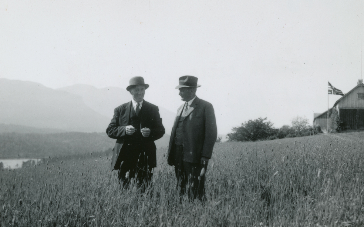 Kornrådet på befaring på garden Asphol i Bolsøy 21. august 1938.