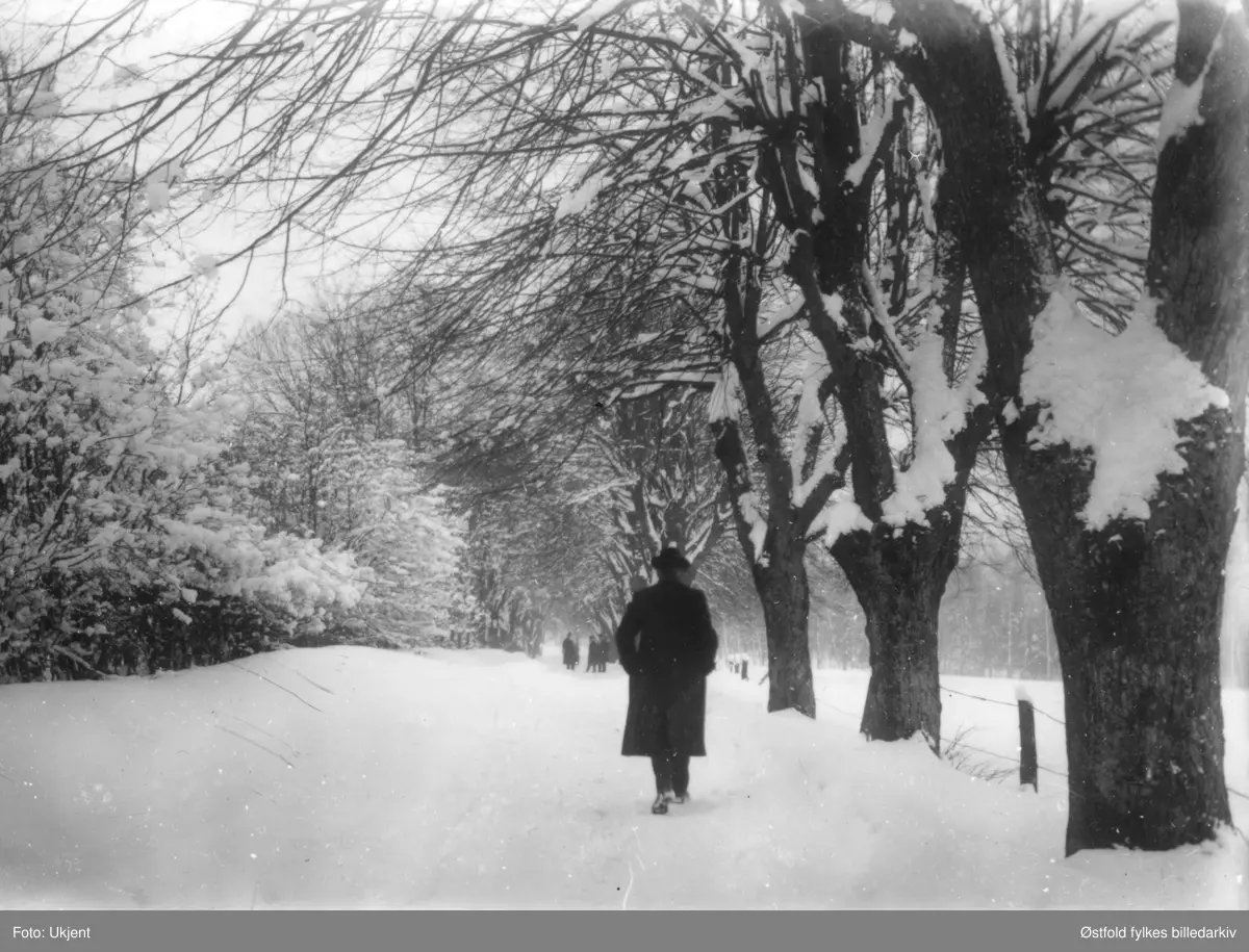 Dyreveien mot Gernerlunden etter Melløs gård, MOss ca. 1910-15. Personen er bokhandler Rolf Olsen.