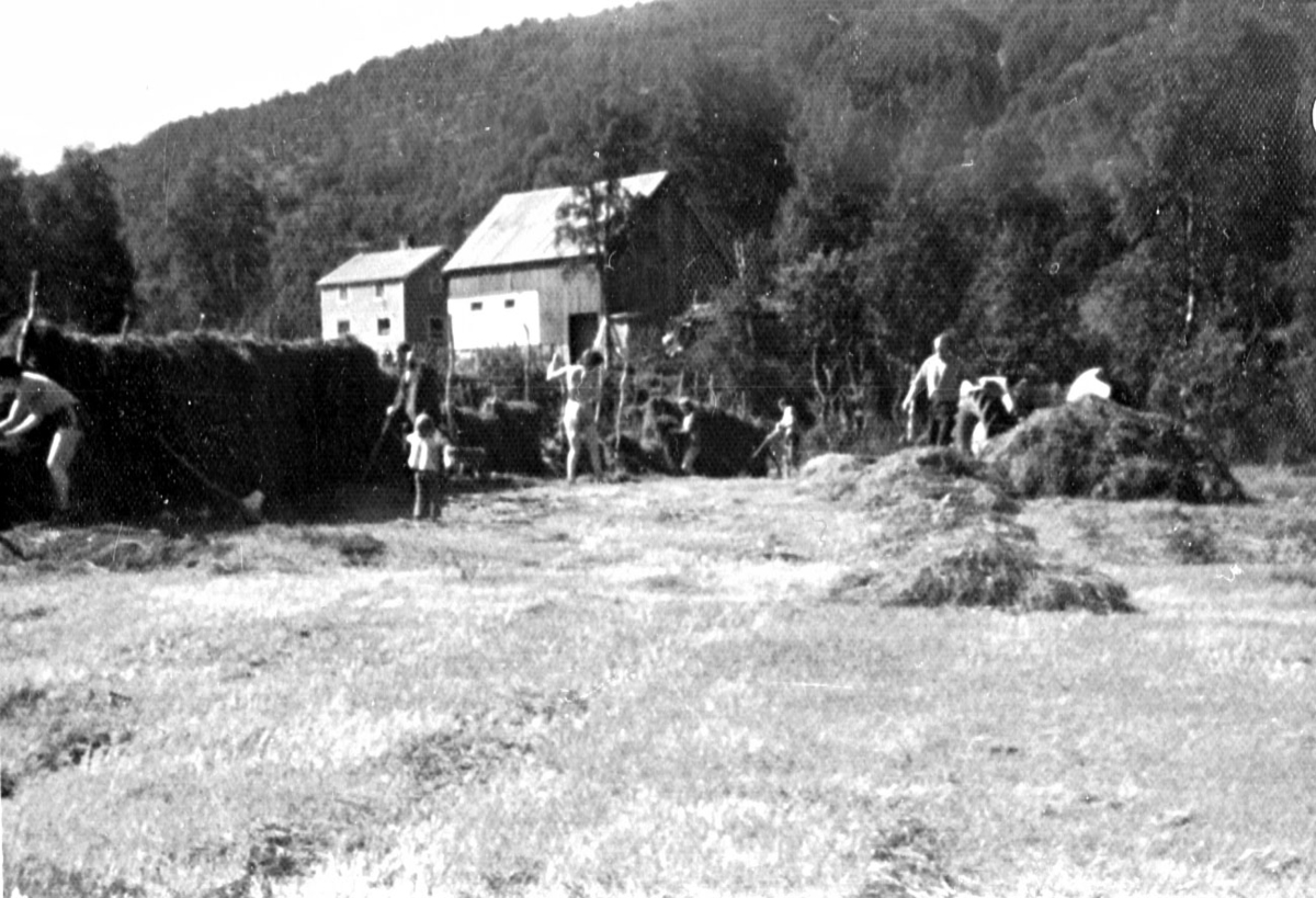 Høyonn på Skogmo, Seljelvnes, Balsfjord