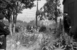 Kristianstens festning