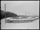 Västerås, Hammarby.
Sankta Gertruds kapellruin efter arkeologisk undersökning 1934.
Bild tagen av murarna mot väster.