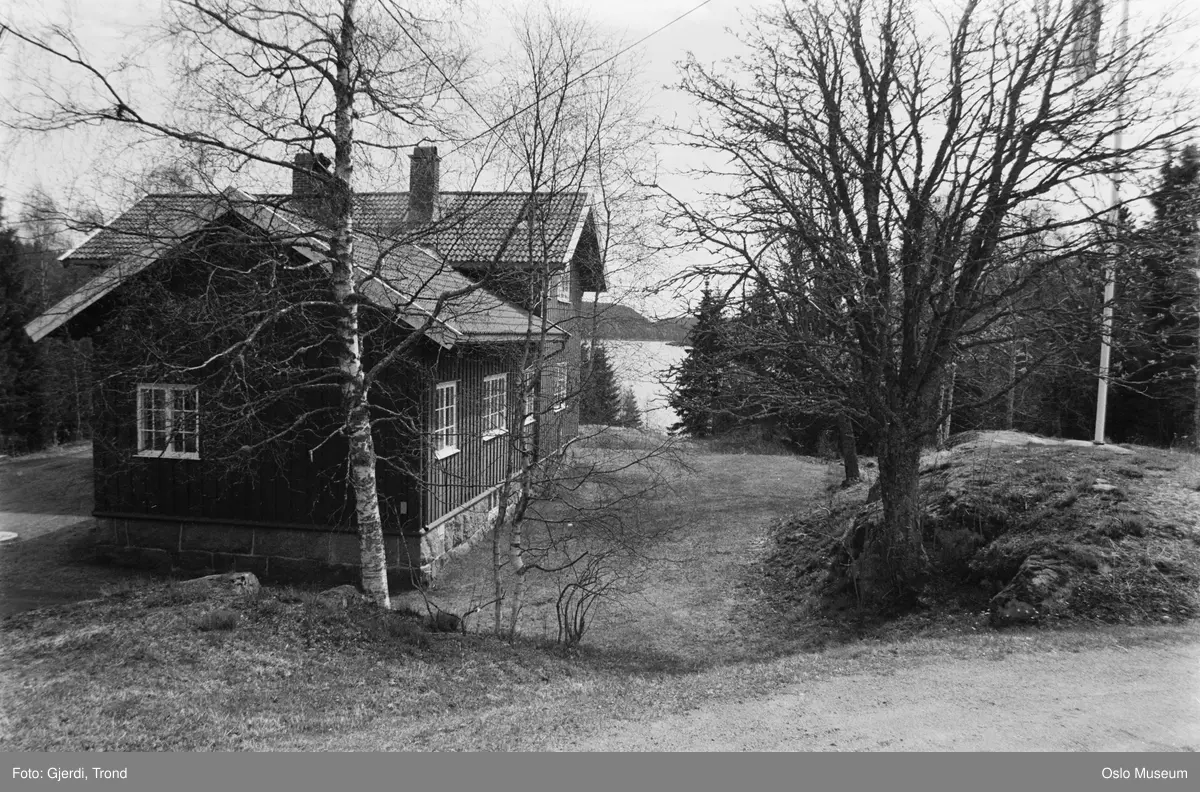 landskap, bolighus, vann, skog