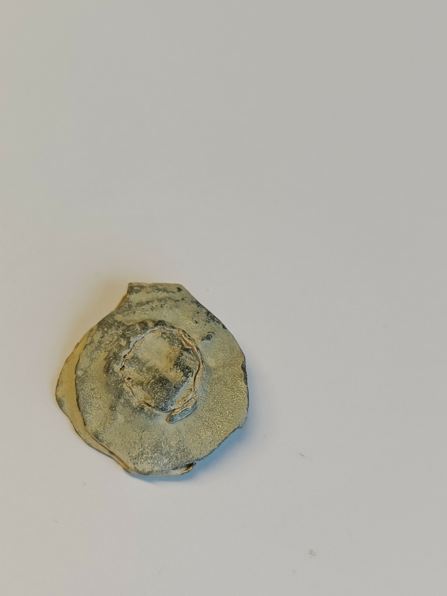 Liten vareplombe med begge plaketter, nagle og streng bevart. Gjenstanden har nedslitte ytterkanter. Rester av preg sees på begge plaketter. På advers plakett sees en stående løve eller fabeldyr, vendt mot høyre. Dyret har en kraftig, oppsvingt hale og utstrakte forlabber. Preget er slitt men dyret kan ha holdt et våpen i labbene. På revers plakett sees en rest av preg der naglen har slått gjenom. Det er mulig at dette kan være samme motiv som på den andre plaketten, et stående dyr, i form av deler av kroppen og en for- og baklabb. 
Proveninens er ikke avklart. 